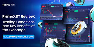 KYC PrimeXBT Understanding the Know Your Customer Process in Cryptocurrency Trading KYC PrimeXBT Understanding the Know Your Customer Process in Cryptocurrency Trading