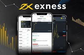 Understanding the Exness Swap Calculator With Charges 6 Understanding the Exness Swap Calculator With Charges 6