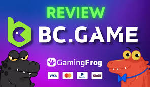 Experience the Joy of Entertainment with BC FUN